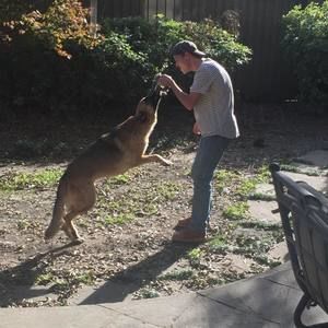 Meet your Posher, Dawson